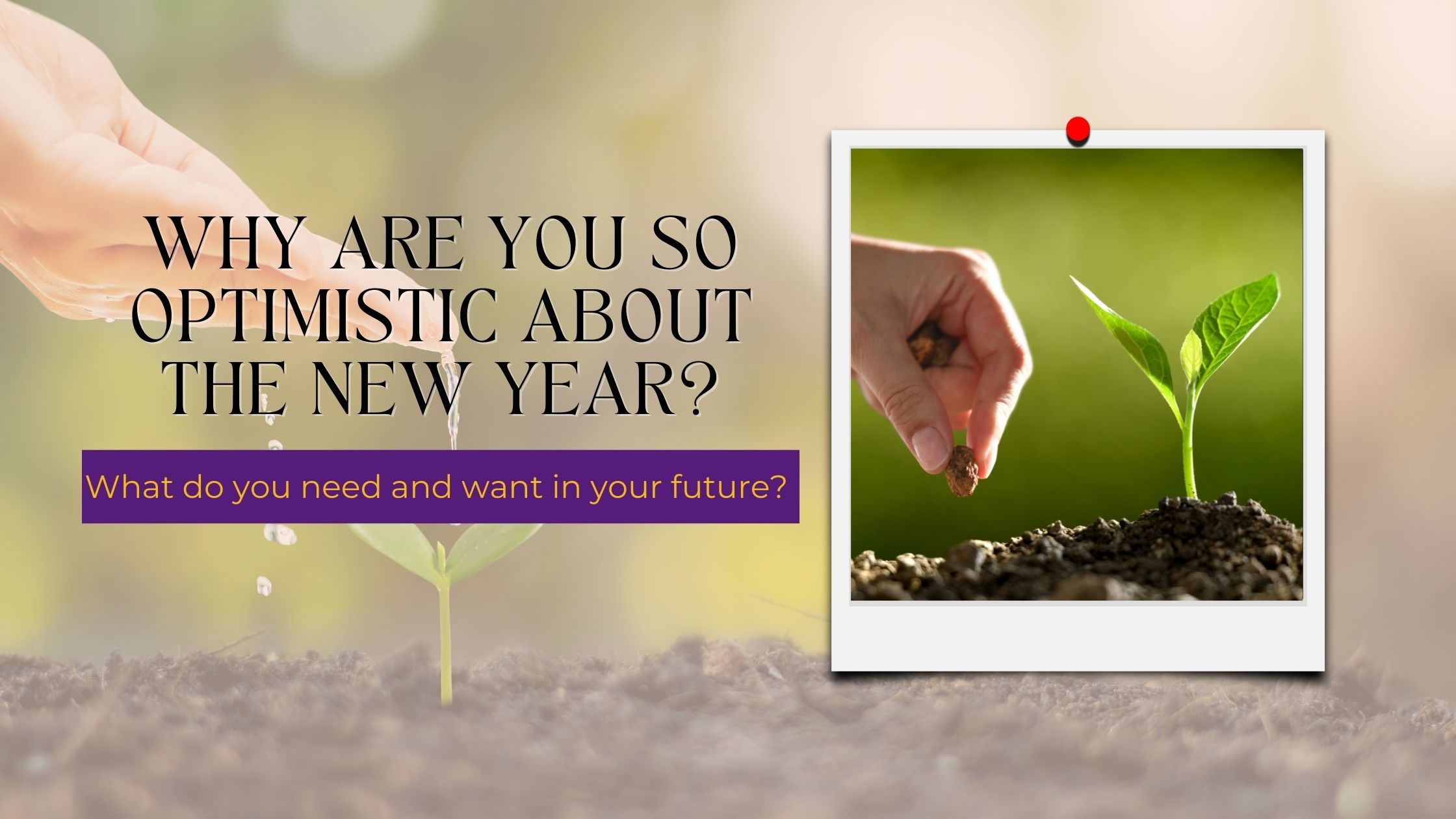 Why are you so optimistic about the new year? Carrie Olsen Voiceover